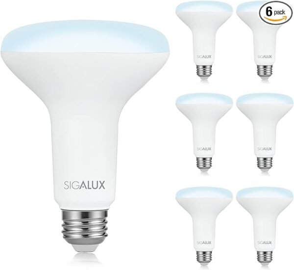 Sigalux Luces LED de inundación para interiores, bombilla LED BR30 equivalente a 65 W, bombillas empotrables regulables de 650 lúmenes, 5000 K, bombillas de luz diurna con base E26, certificación UL